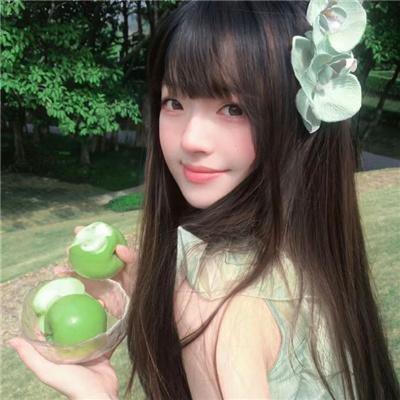 灵性的动物